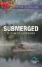 [Mountain Cove 04] • Submerged